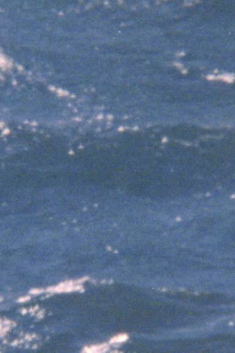 Poster for The possibility of being sea