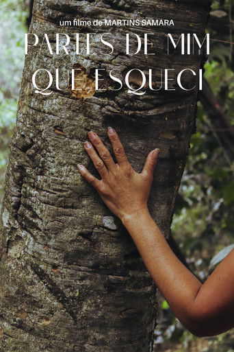 Poster for Partes de Mim que Esqueci
