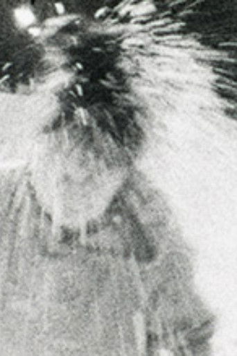 Poster for Moi et le Boff Zen