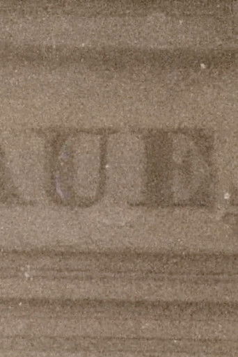 Poster for Paulinenaue