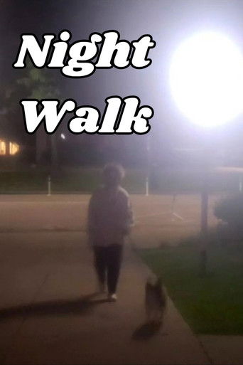Poster for Night Walk