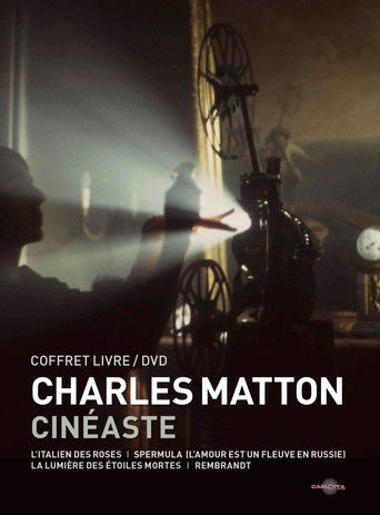 Poster for Charles Matton visiblement