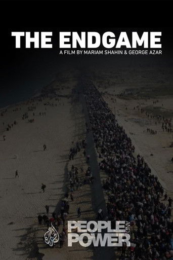 Poster for The Endgame