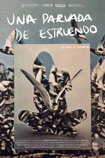 Poster for Una parvada de estruendo