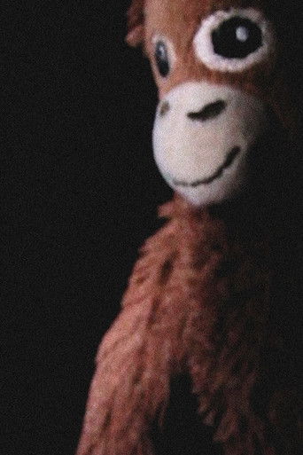 Poster for The Jay Monkey Project