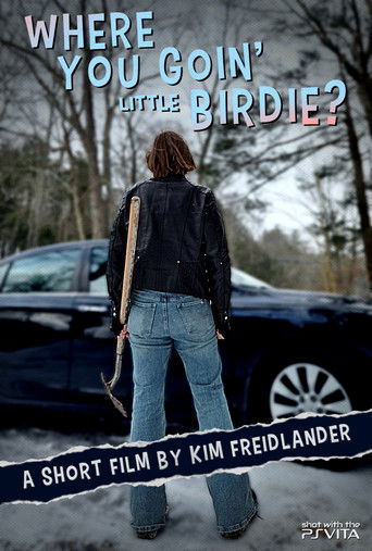 Poster for Where You Goin' Little Birdie?