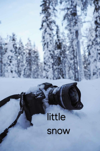 Poster for little snow