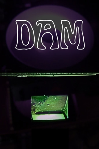 Poster for Dam