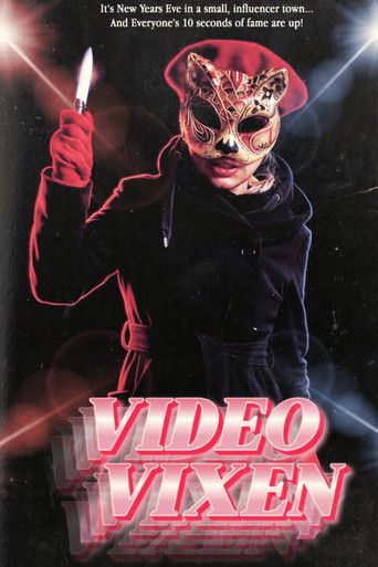 Poster for Video Vixen
