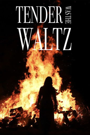 Poster for Tender Was The Waltz