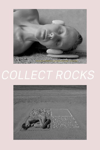 Poster for Collect Rocks
