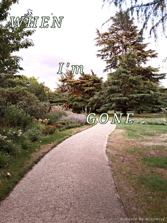 Poster for When I'm Gone