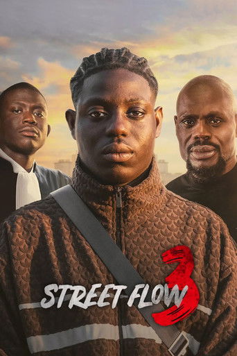 Poster for Street Flow 3