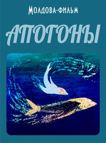 Poster for Cardinal Fish