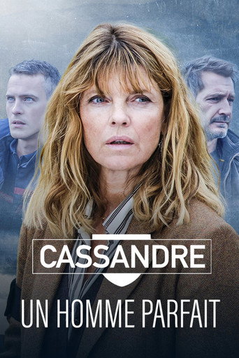 Poster for Cassandre - Un homme parfait
