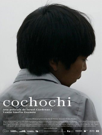 Poster for Cochochi