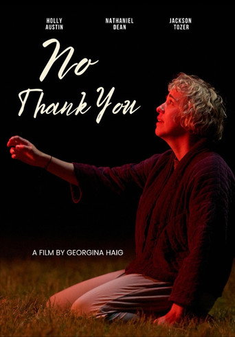 Poster for No Thank You