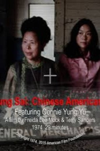 Poster for Jung Sai, Chinese American