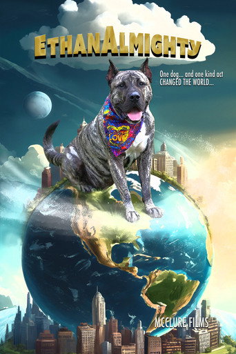 Poster for Ethan Almighty – Ethan’s Law