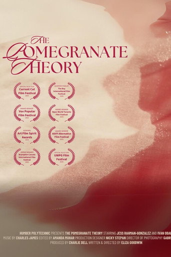 Poster for The Pomegranate Theory