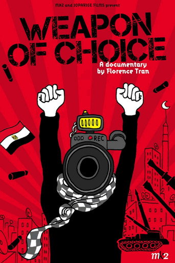 Poster for Weapons of Choice
