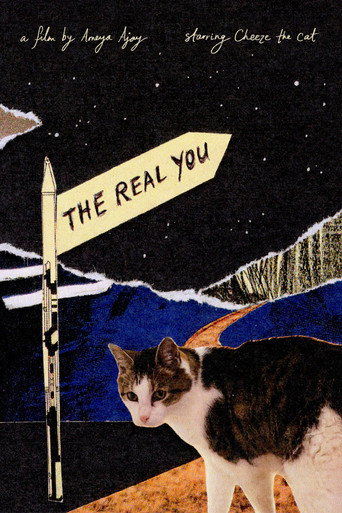 Poster for The Real You