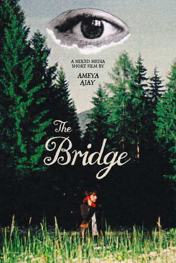 Poster for The Bridge