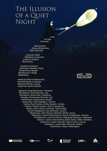 Poster for The Illusion of a Quiet Night
