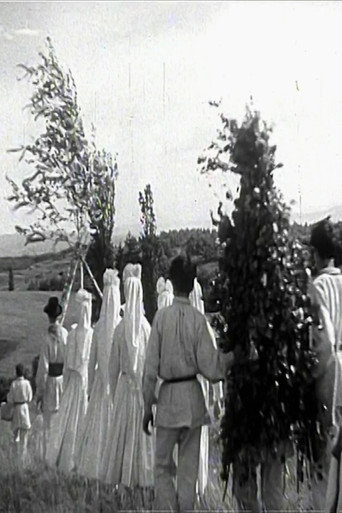 Poster for Springtime in White Carniola