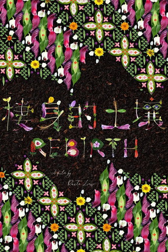 Poster for Rebirth