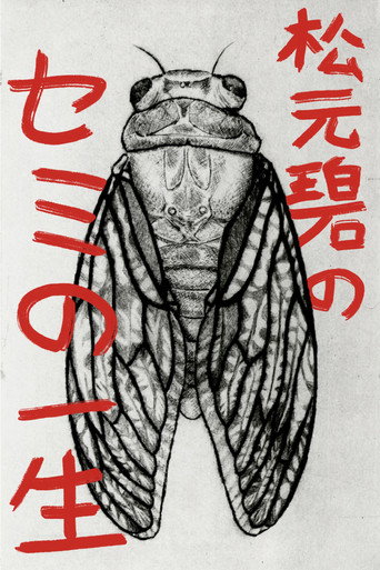 Poster for Midori Matsumoto’s: The Life Cycle Of A Cicada