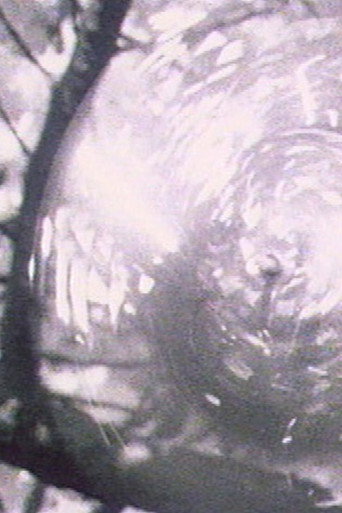 Poster for Oolite