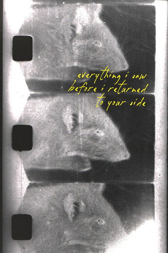 Poster for everything i saw before i returned to your side