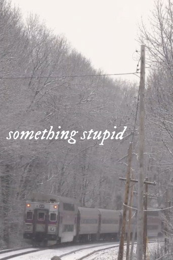 Poster for Something Stupid