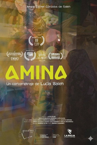 Poster for AMINA