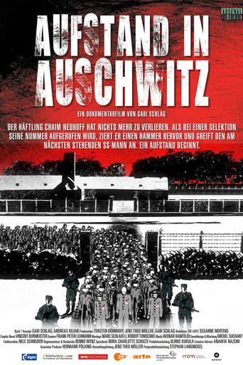 Poster for Aufstand in Auschwitz