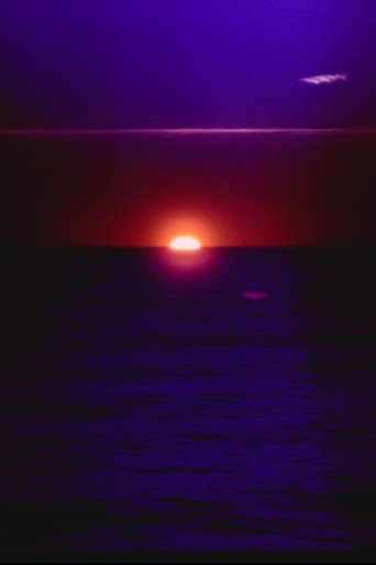 Poster for solar wave