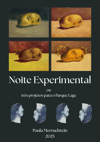 Poster for Noite Experimental