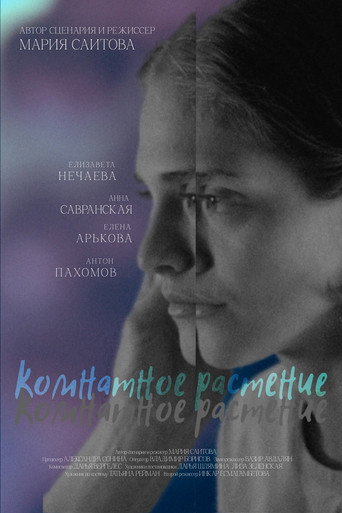 Poster for Комнатное растение