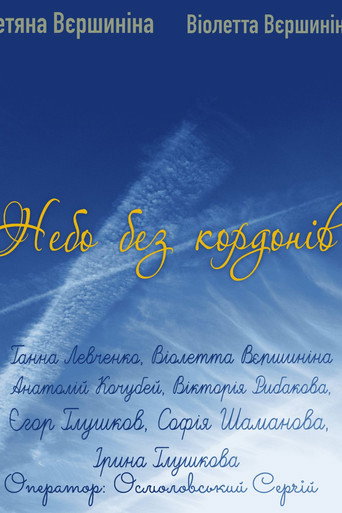 Poster for Borderless sky