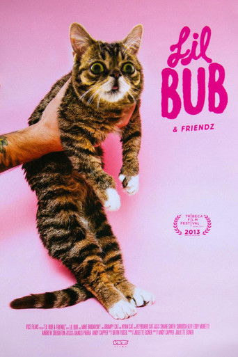 Poster for Lil Bub & Friendz