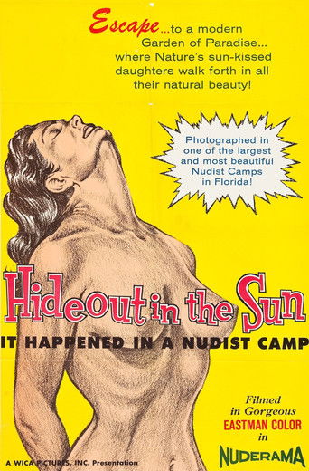 Poster for Hideout in the Sun