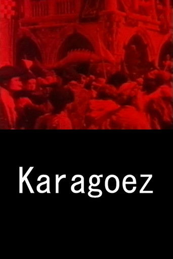 Poster for Karagoez catalogo 9,5