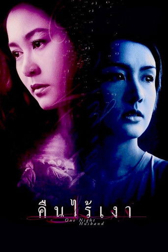 Poster for One Night Husband