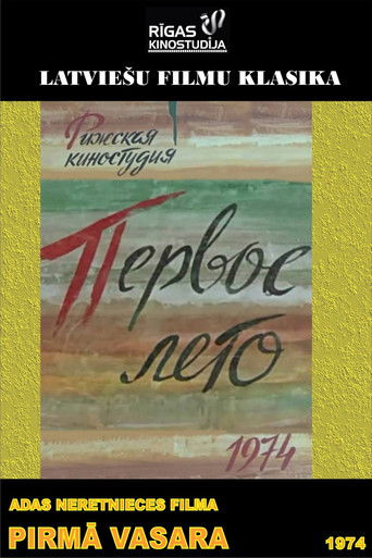 Poster for First Summer