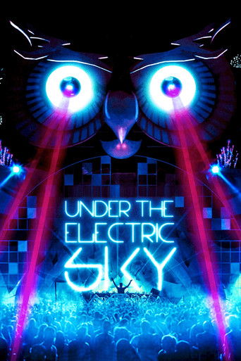 Poster for Under the Electric Sky