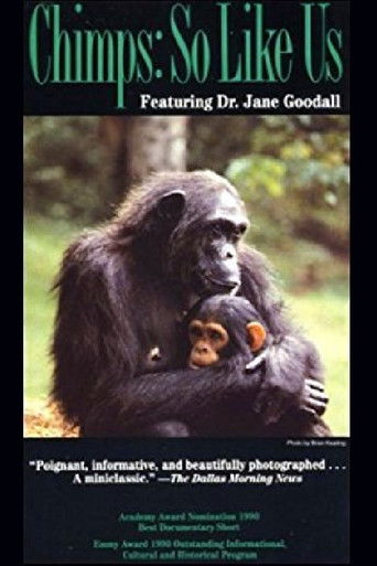Poster for Chimps: So Like Us