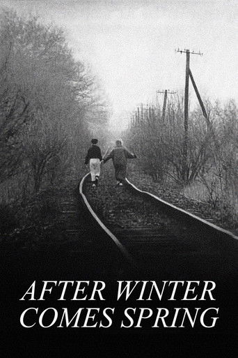 Poster for After Winter Comes Spring