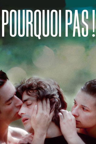 Poster for Why Not!