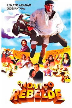 Poster for The Rebel Novice